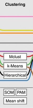 Fragment cut from the pipeline - clustering: Mclust, k-Means, Hierarchical (additionally SOM, PAM, Mean shift)