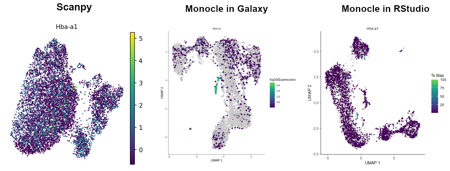 In Scanpy graph the marker gene appears throughout the entire sample in low numbers, in Monocle in Galaxy cells expressing hemoglobin gene were grouped into a small branch of DP-M4, allowing to group those cells. Monocle in RStudio graph is somewhere in between showing mostly low expression across the sample, but also having a tiny bit of grouped cells, less distinct than in Galaxy though.