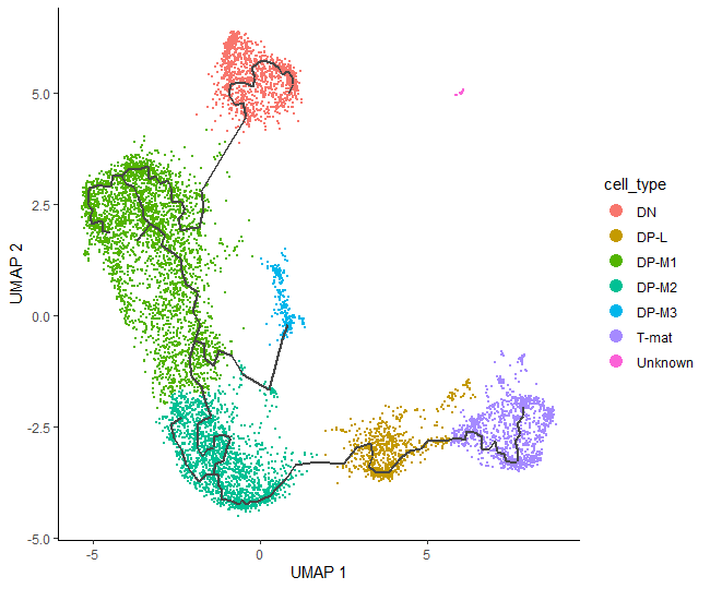Learned trajectory graph connecting all the annotated clusters except the ‘Unknown’ group of cells.