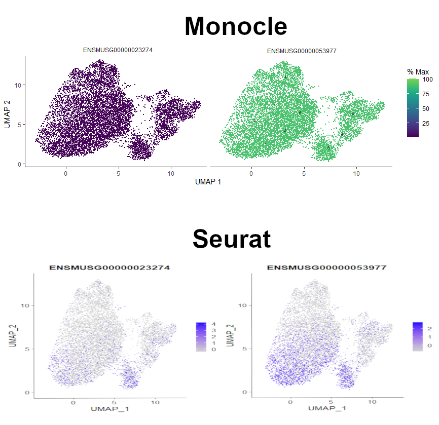 Comparison between plots of gene expression generated by Monocle and Seurat using the CDS object that was converted from AnnData using SCEasy tool. Gene expression in Monocle plots is identical throughout the sample, while the expression of the same genes plotted by Seurat is noticeable only in specific clusters.