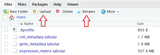 Screenshot of Files tab in RStudio, highlighting 'Upload' and 'Rename' buttons and listing three uploaded and renamed files: 'cell_metadata', 'gene_metadata', 'expression_matrix'.