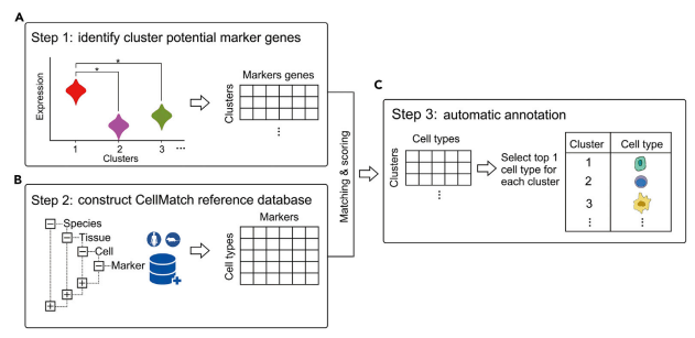 Figure showing a basic marker gene database pipeline