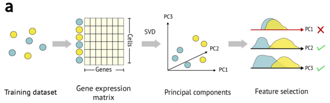 Diagram of a support vector machine