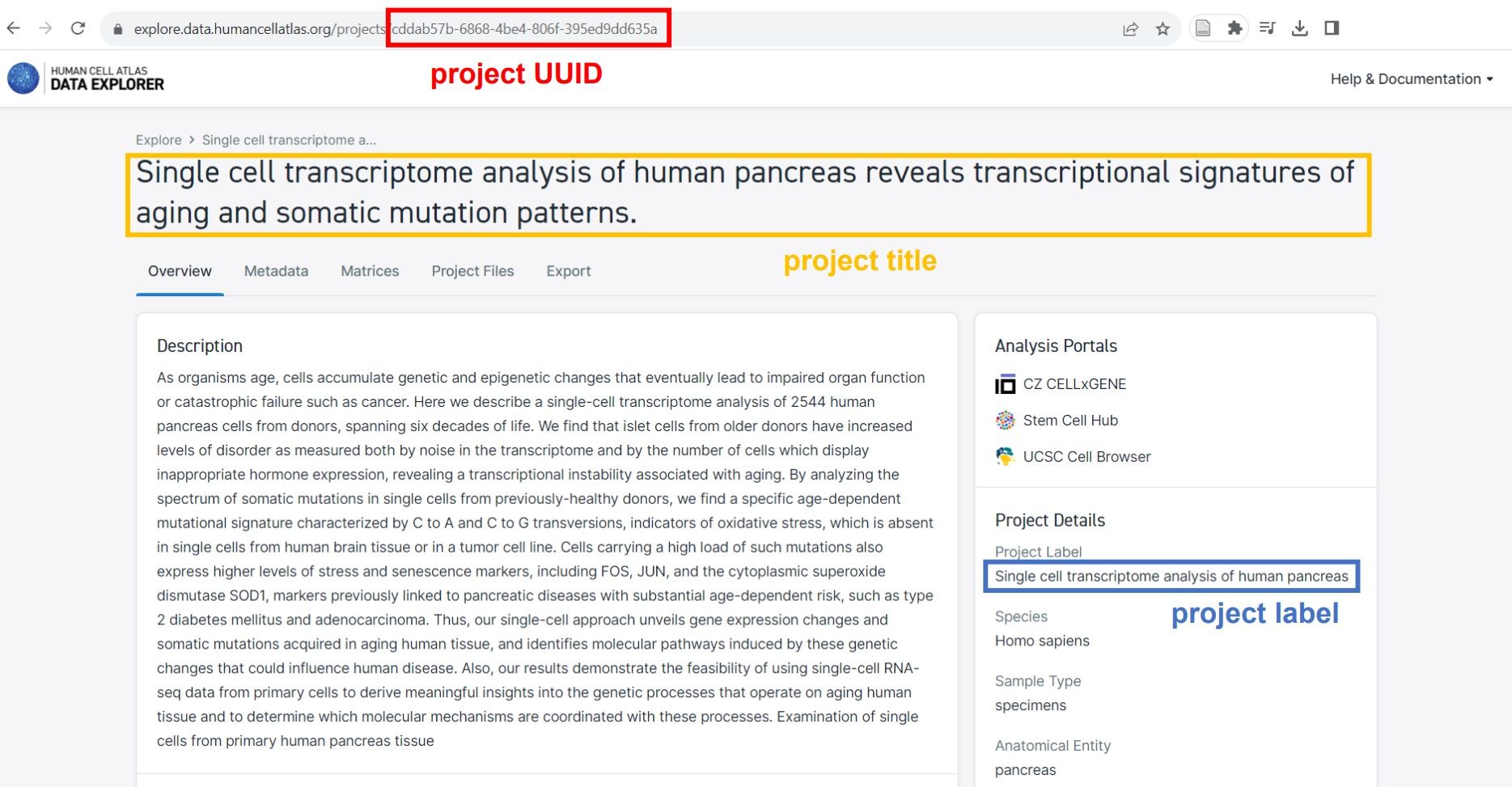 Image showing project UUID as a final fragment of link address, project title (self-explanatory) and project label as an entry in the box on the right side of the page.
