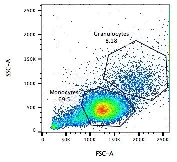 The same scatter plot but now monocytes and graunlocytes are shown as blobs.