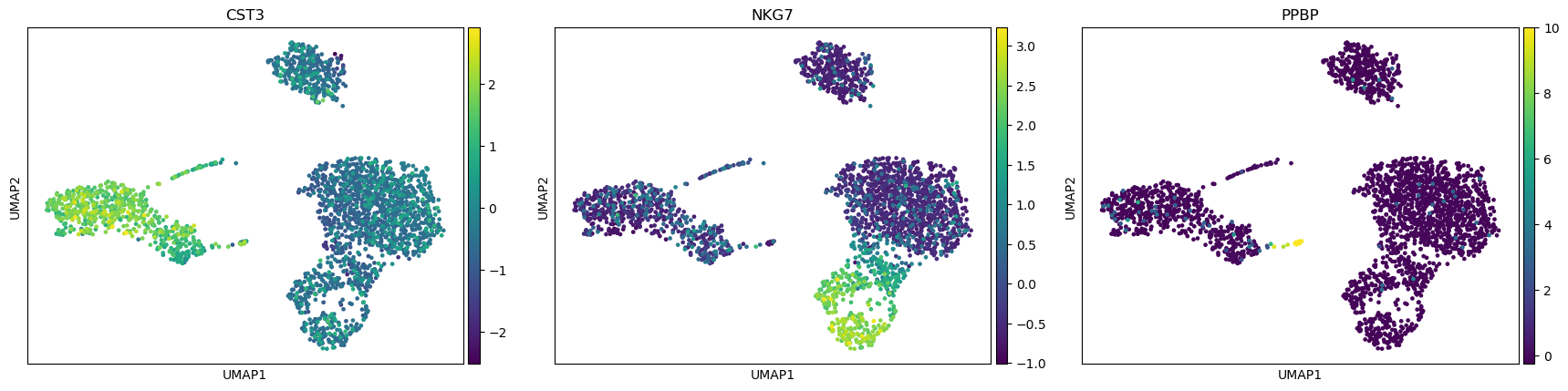 UMAP coordinates before clustering. 