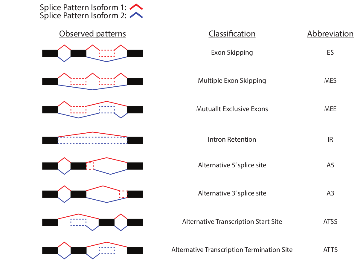 Figure 21. Classification of splicing patterns. 
