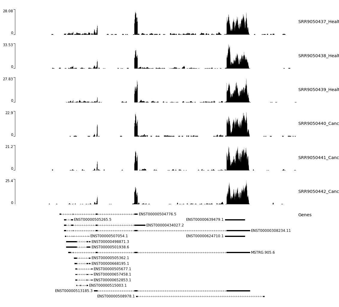 Figure 18. RGMB gene isoform expression profile plot. 