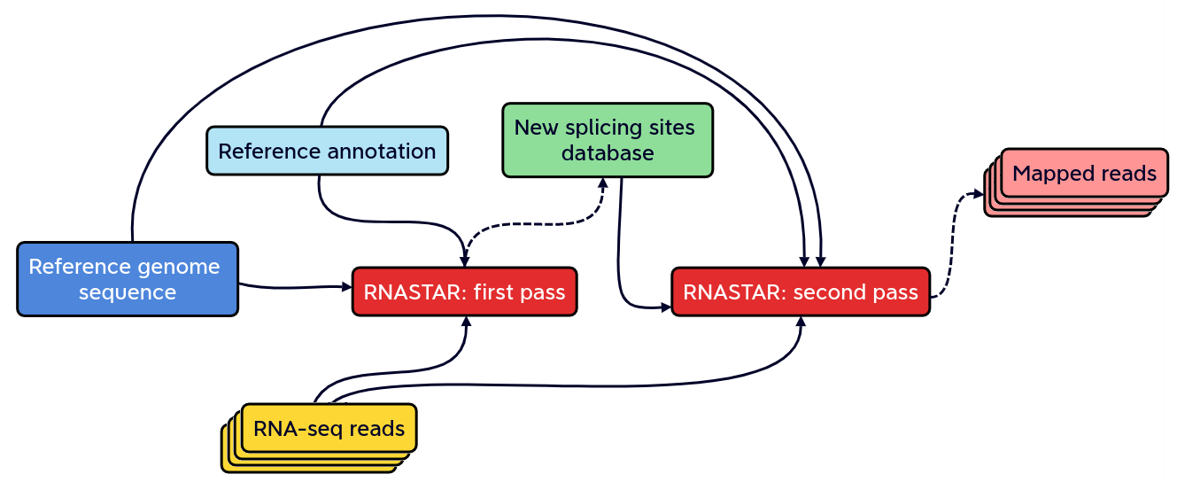 Mapping step with RNASTAR. Two-pass alignment enables sequence reads to span novel splice junctions by fewer nucleotides, conferring greater read depth and providing significantly more accurate quantification of novel splice junctions.