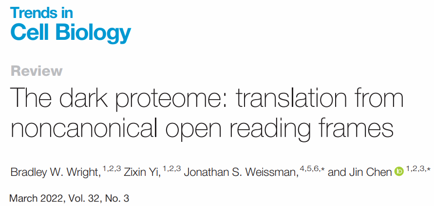 The dark proteome: translation from noncanonical open reading frames.