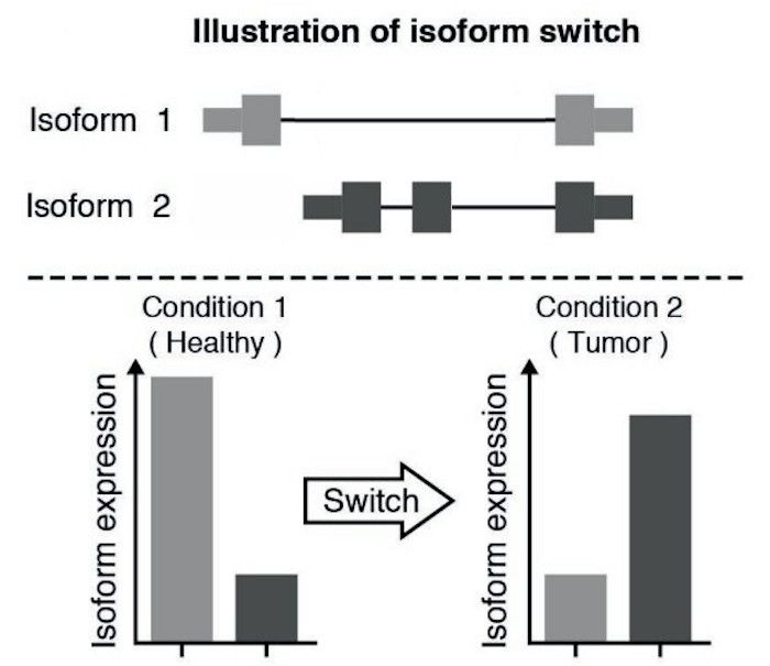 Illustration of isoform switch