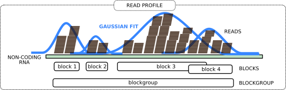 blocks of a blockgroup. 