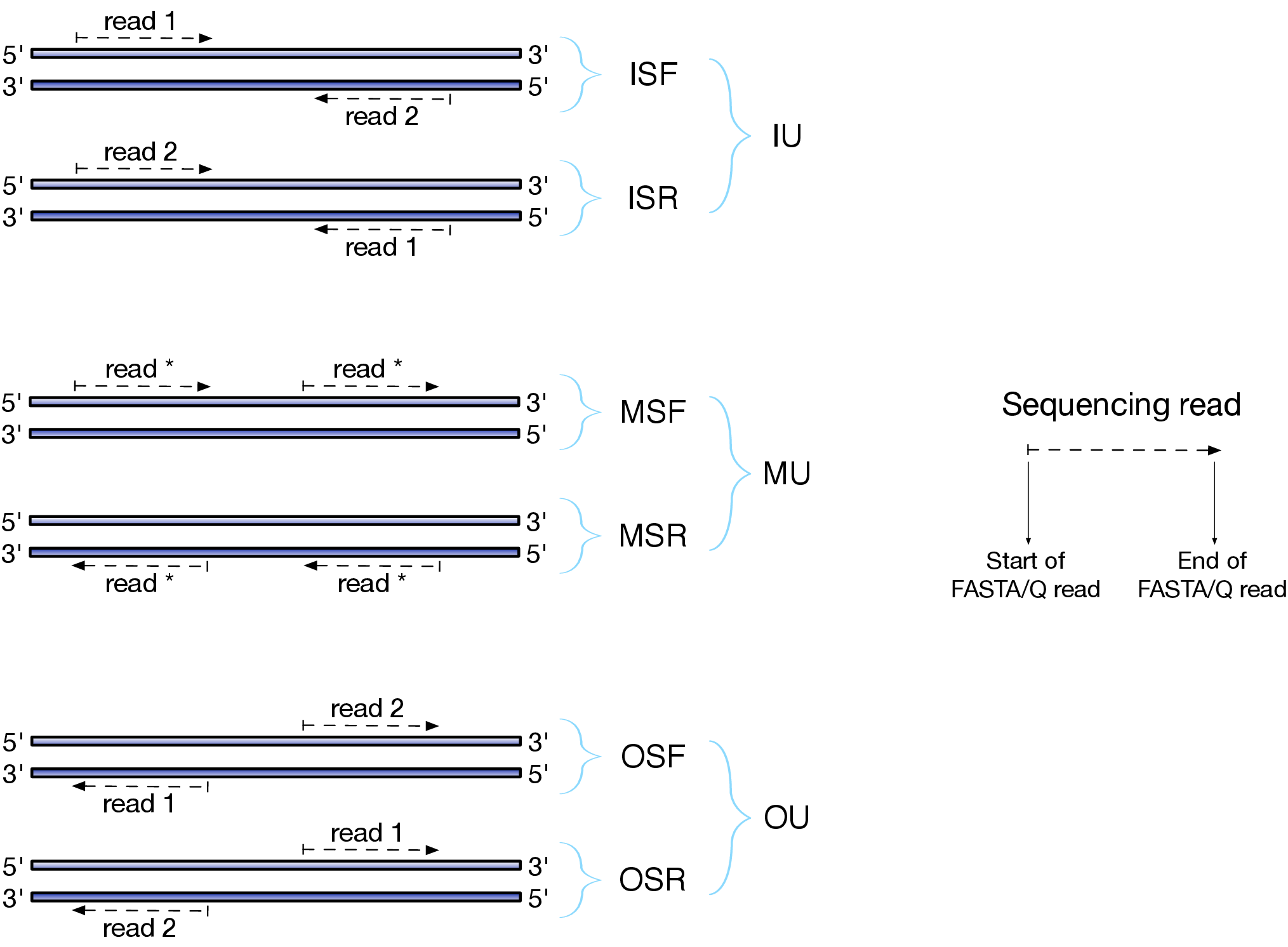 Effects of RNAseq library types. 