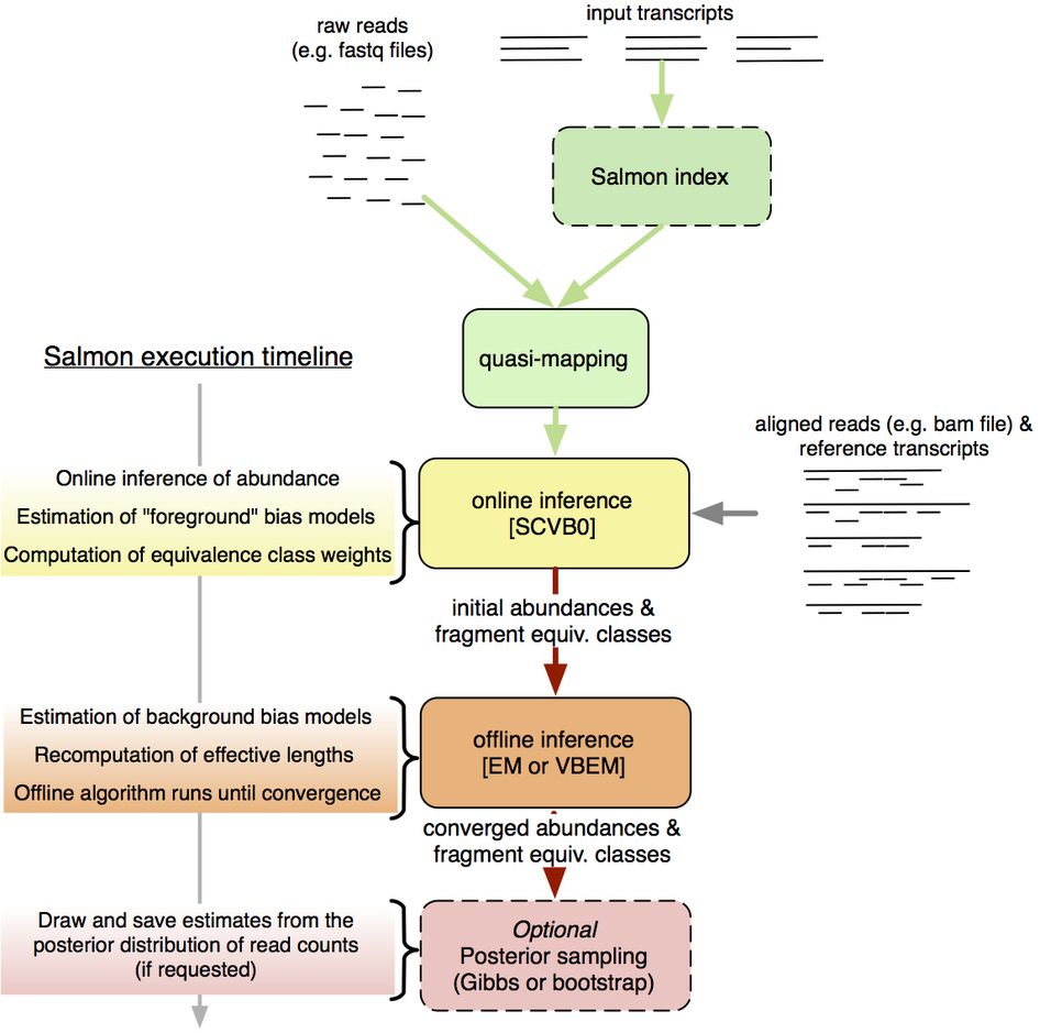 Salmon overview