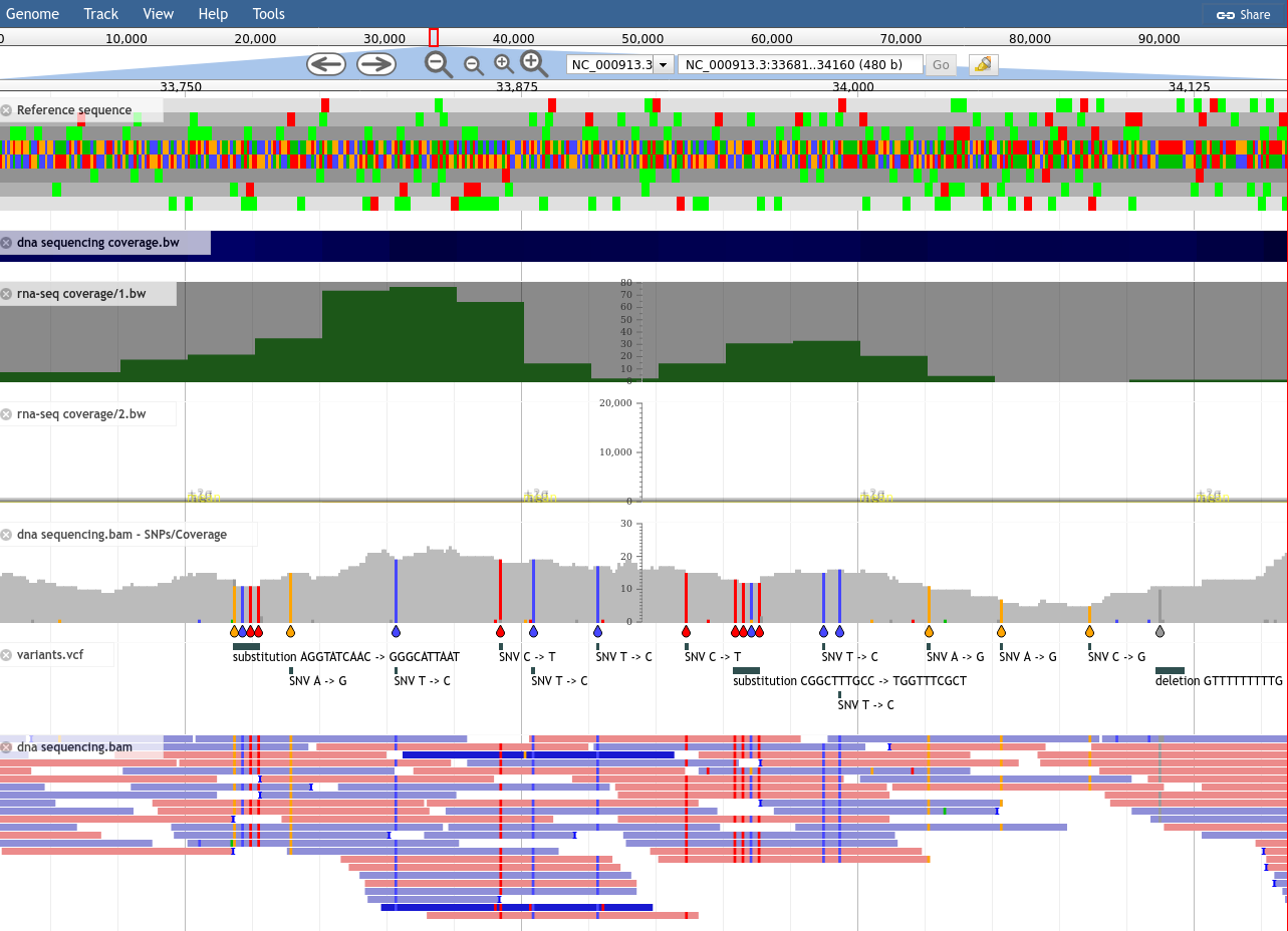 Screenshot of JBrowse showing sequence, some bar charts, a SNP map highlighting snps, and aligned reads.