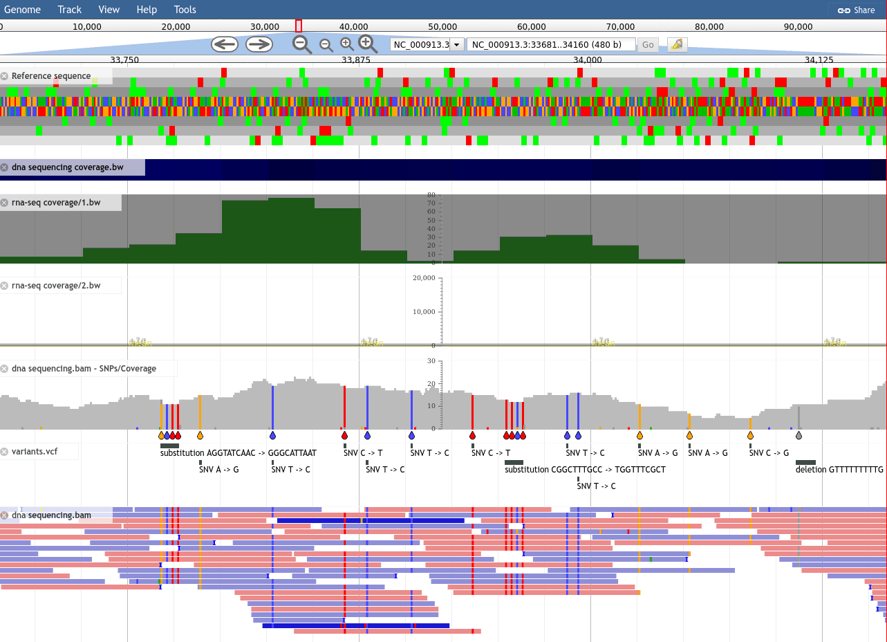 Slides JBrowse Genomic Data Visualisation With JBrowse Visualisation