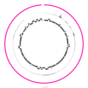 gif of a circos plot being iteratively modified to reach something that looks like the final plot. 