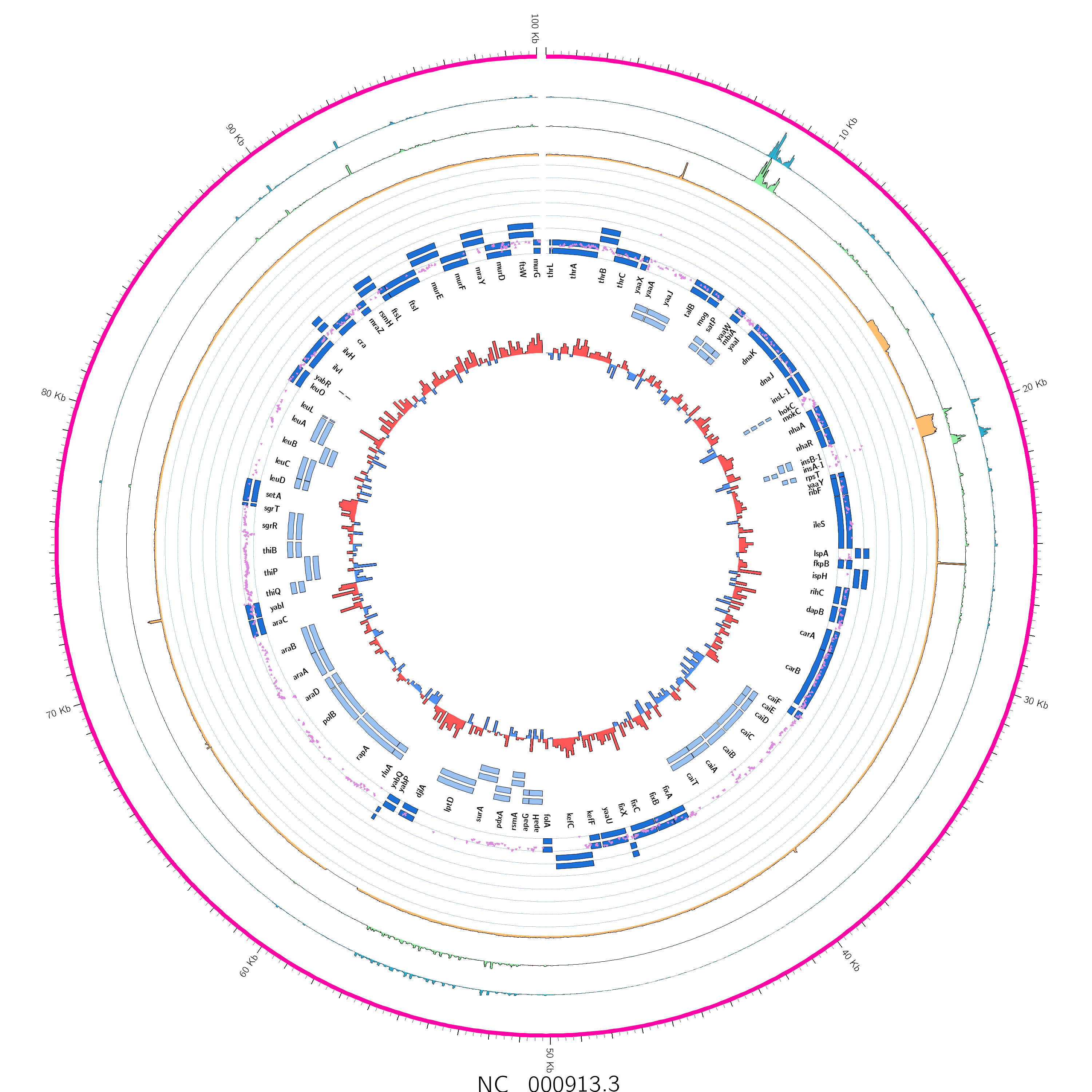 plot of NC_000913 showing a range of datasets, from outside to in: a pink band representing the genome, two rna seq datasets and a dna seq coverage dataset showing coverage spikes around 10 and 20kb. Next inside is an overlapping set of genes presumably on the plus strand in dark blue overlapped with lilac triangles representing variants. Next a set of gene names, and finally a set of minus strand genes before a GC skew map in red and blue.