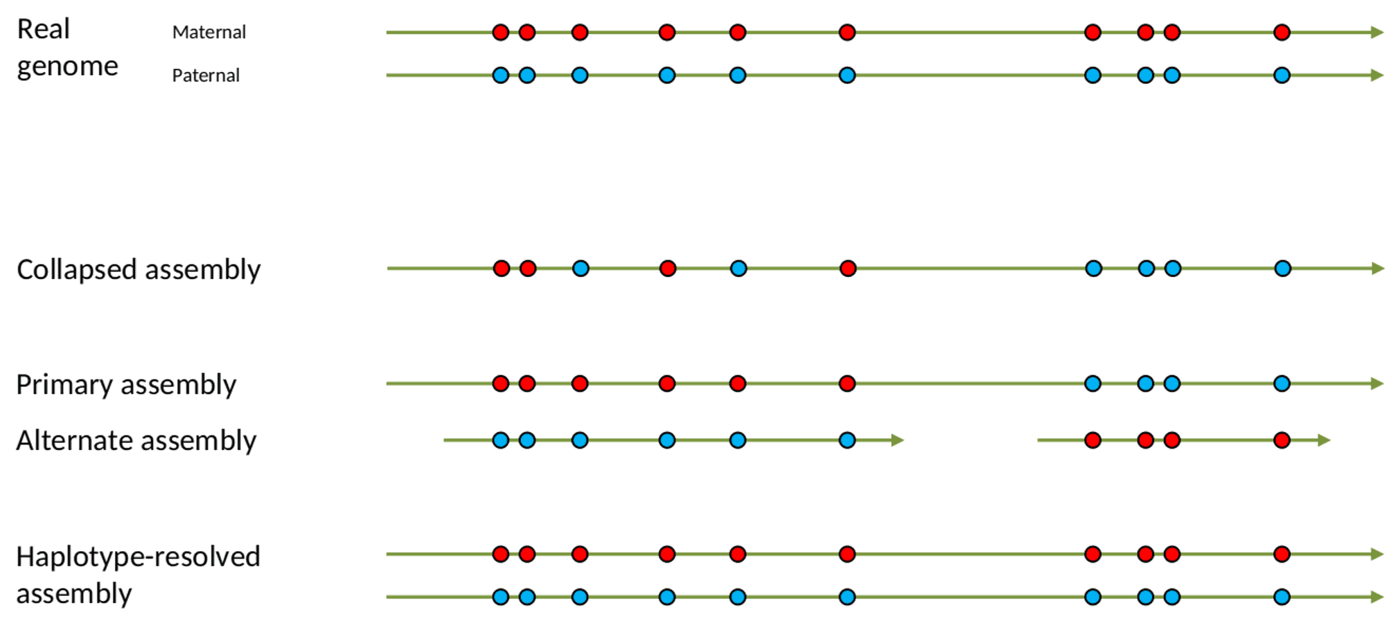 Illustration of the assembly types