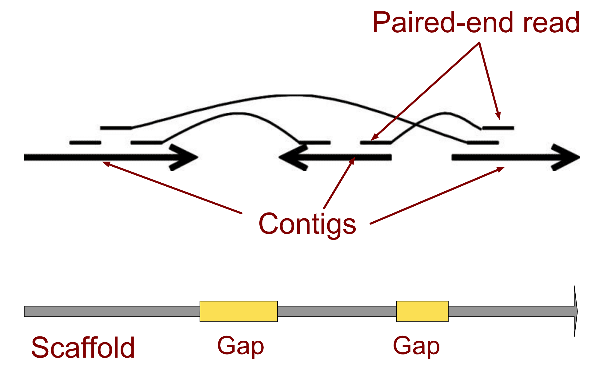 Illustration of the working principle of scaffolding